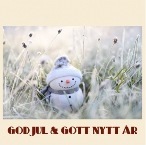 Julpresentkort olika motiv 800 Kr + 60 Kr gratis