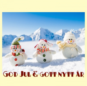 Julpresentkort olika motiv 400 Kr + 50 Kr gratis
