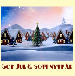 Julpresentkort olika motiv 400 Kr + 50 Kr gratis